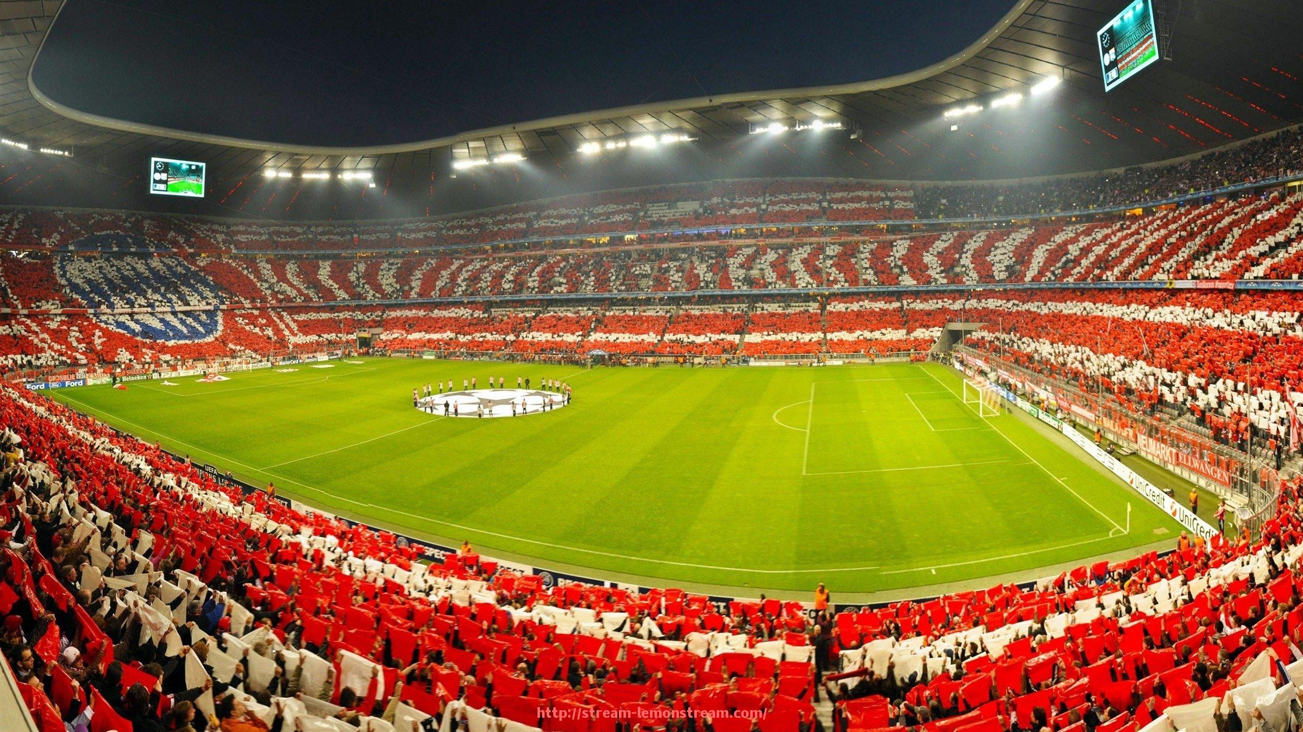 柠檬体育直播-哪里买健身器材好的详细介绍与使用建议