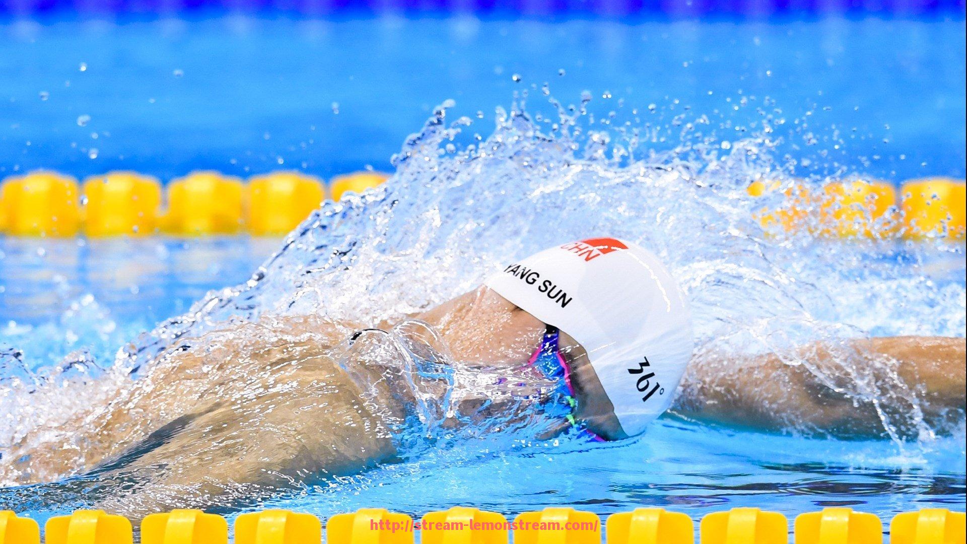 柠檬体育直播-哪里买健身器材好的详细介绍与使用建议